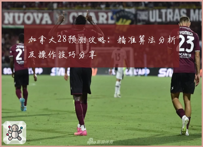 加拿大28预测攻略：精准算法分析及操作技巧分享