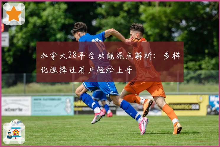 加拿大28平台功能亮点解析：多样化选择让用户轻松上手