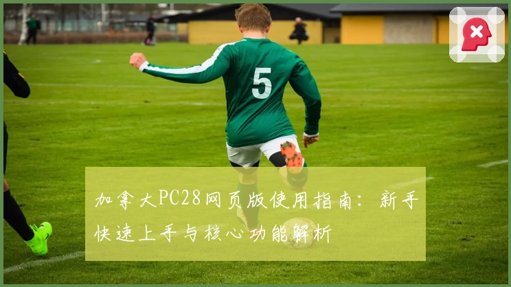 加拿大PC28网页版使用指南：新手快速上手与核心功能解析