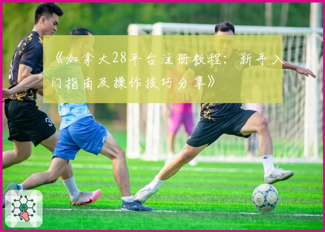 《加拿大28平台注册教程：新手入门指南及操作技巧分享》