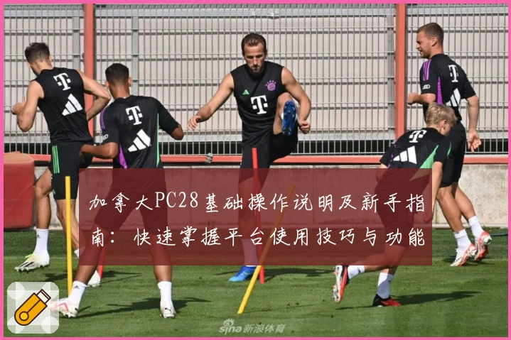 加拿大PC28基础操作说明及新手指南：快速掌握平台使用技巧与功能亮点