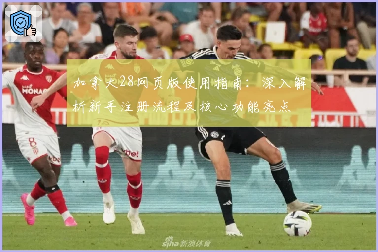 加拿大28网页版使用指南：深入解析新手注册流程及核心功能亮点