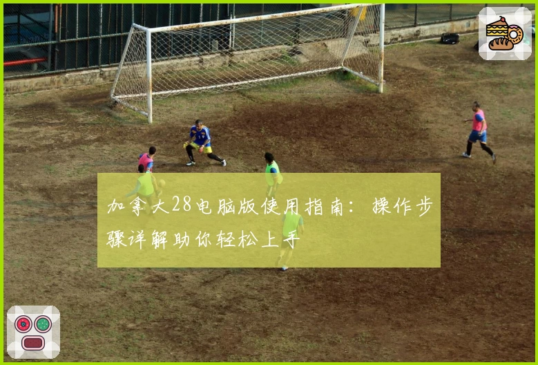 加拿大28电脑版使用指南：操作步骤详解助你轻松上手