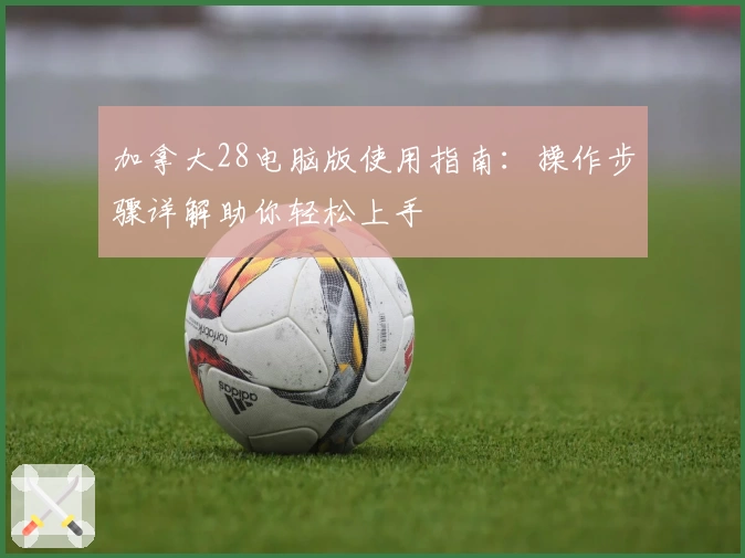 加拿大28电脑版使用指南：操作步骤详解助你轻松上手